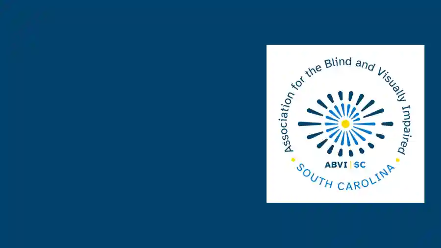 ABVI Awareness Month Raffle