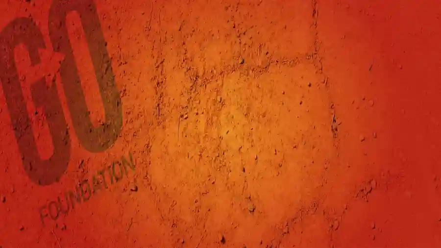 GO Foundation Luncheon