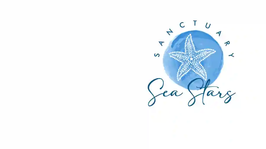 Sea Stars Celebration 2023