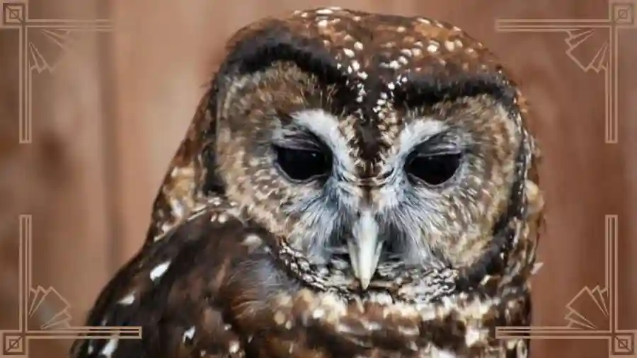 Annual Founder's Event