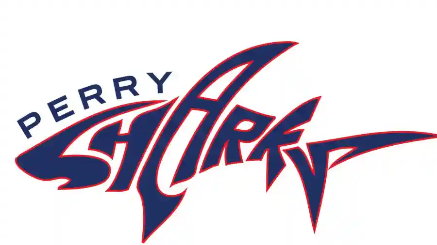 Virtual Perry Rocks 2020