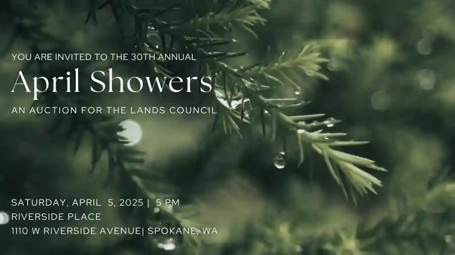 April Showers Auction