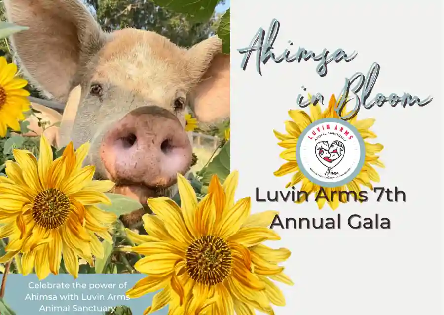 Luvin Arms 7th Annual Gala - Ahimsa in Bloom
