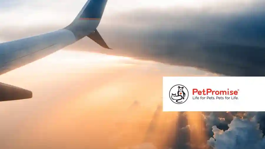 Whisker Me Away Southwest Plane Ticket Raffle