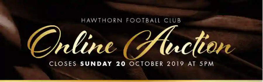 2019 Peter Crimmins Medal