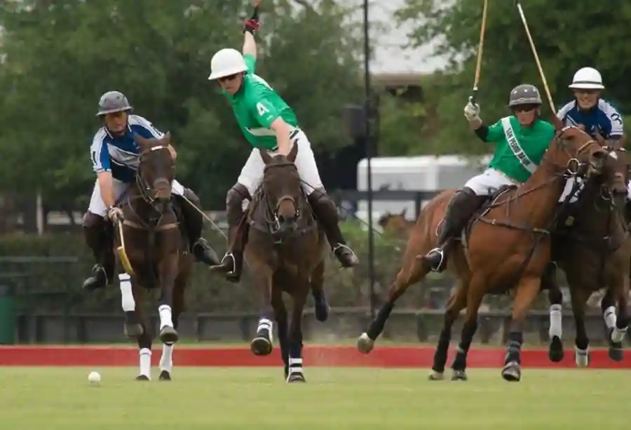 Downtown Rotary Day at the Houston Polo Club