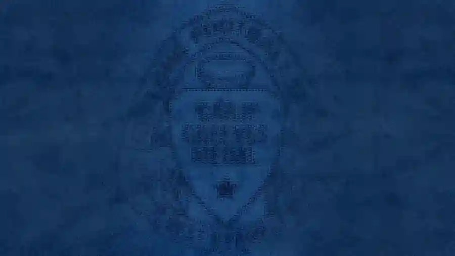 2024 Carji Greeves Medal