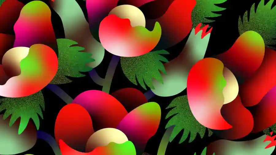 Pilot Light Gala 2021