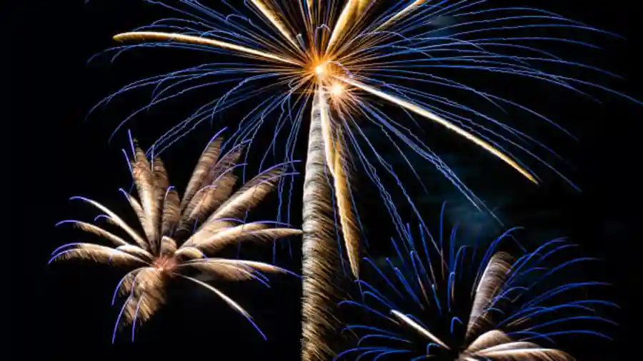 Celebrating 100 Years of Institute