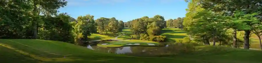 Petersen International Underwriters ALS Golf Classic