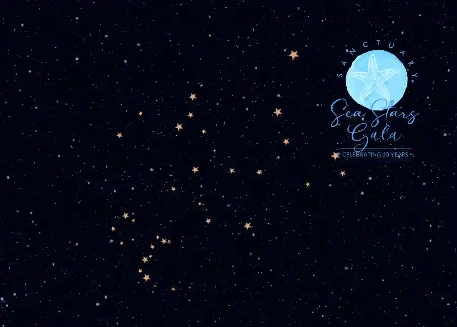 Sea Stars Gala 2022