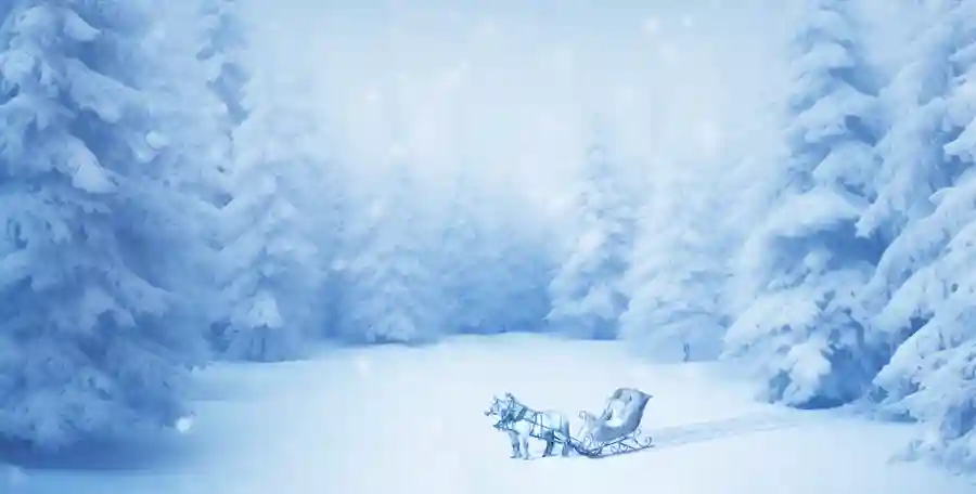 Nutcracker Ball 2024