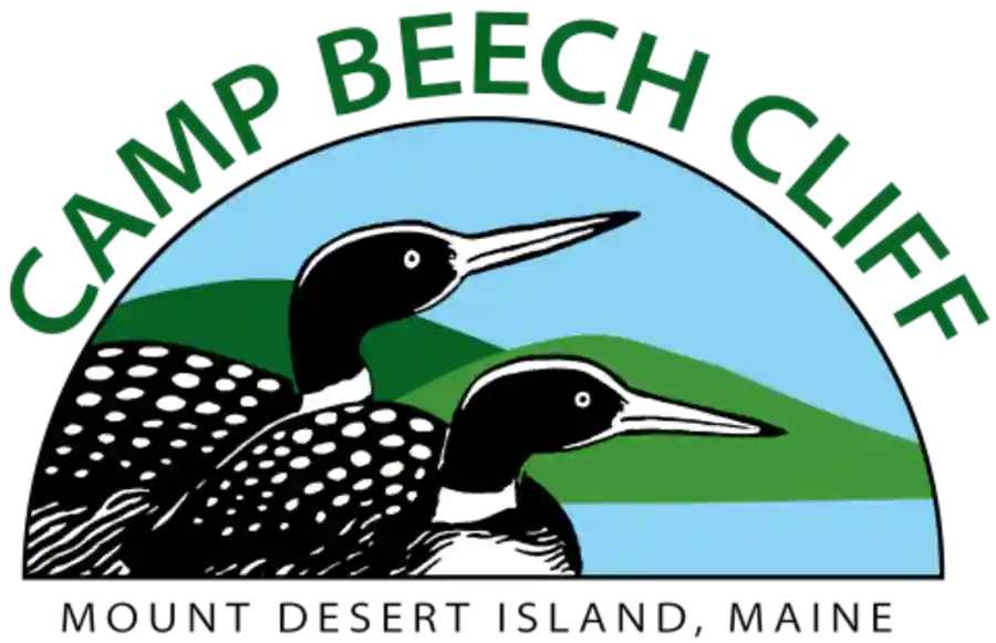 2025 Loonch Online Auction