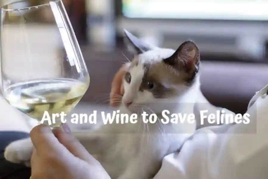 Art and Wine to Save Felines