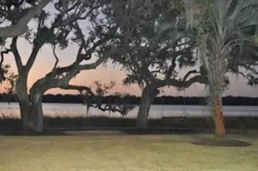 JBE Spring Auction - Laid Back & Local