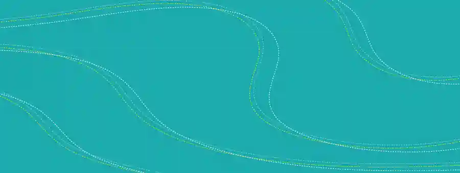 MAPS 6th Annual Chip In For Charity Auction