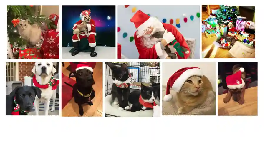 IAR Holiday Sale 2021