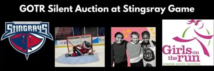 GOTR Coastal South Carolina Silent Auction