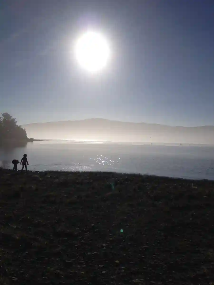 Bay City UMC Auction