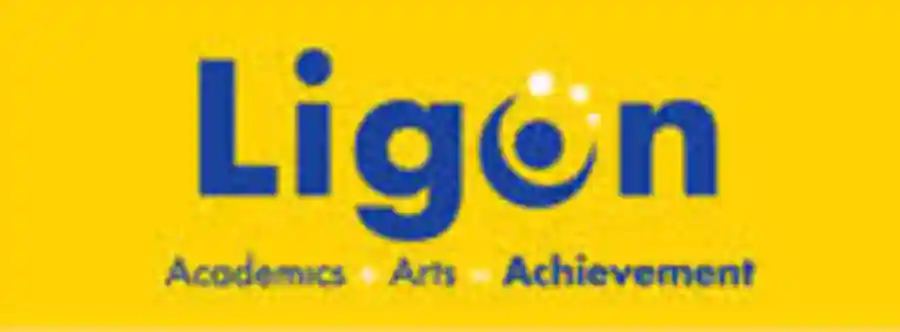 Ligon Bolt for the Blue 2019