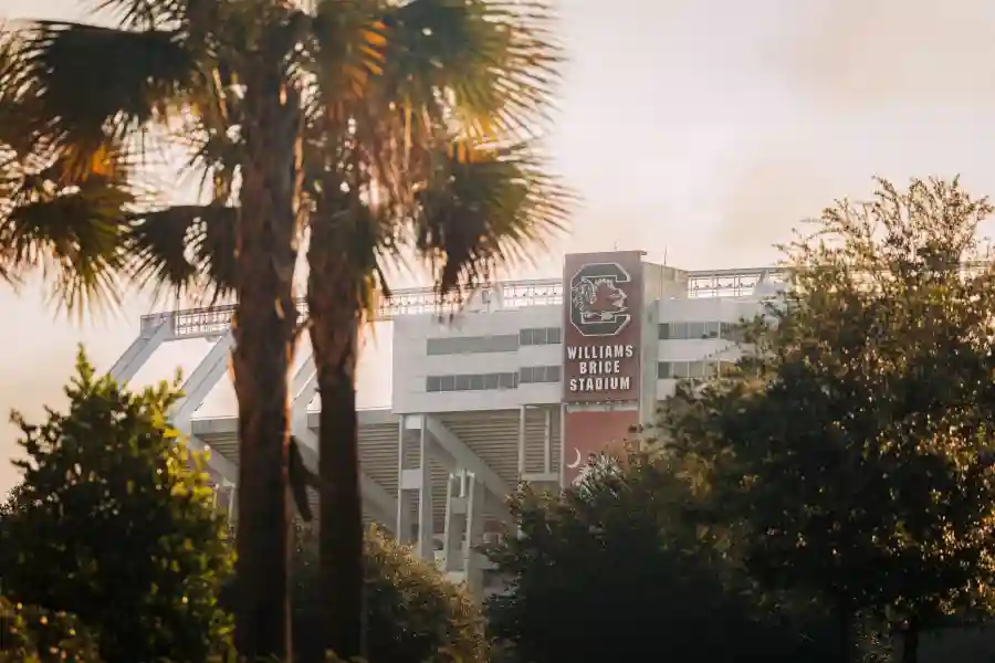 Gamecock Football Auctions - LSU