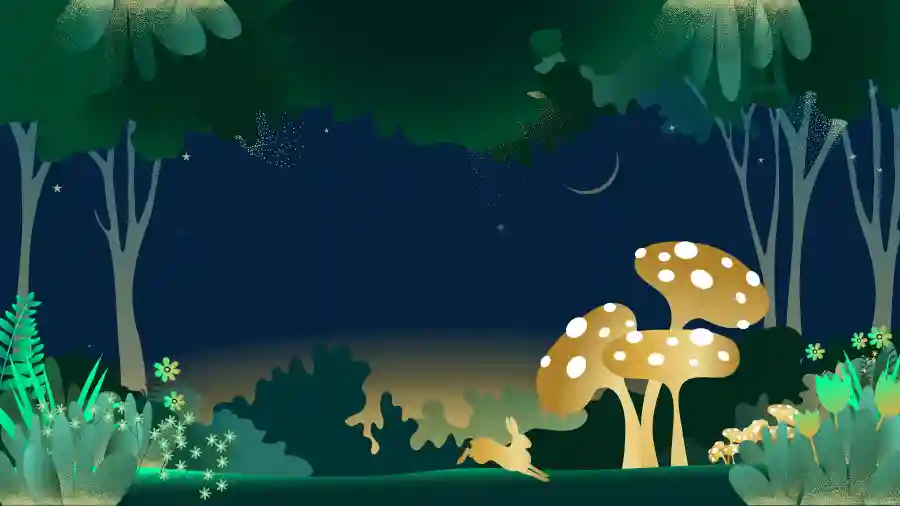 SA Wateraid Gala Ball