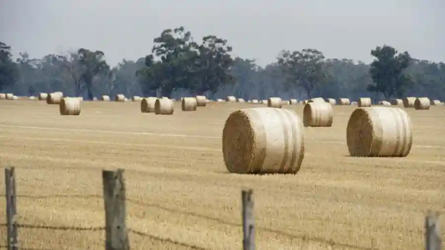 Rural Aid President's Charity Auction