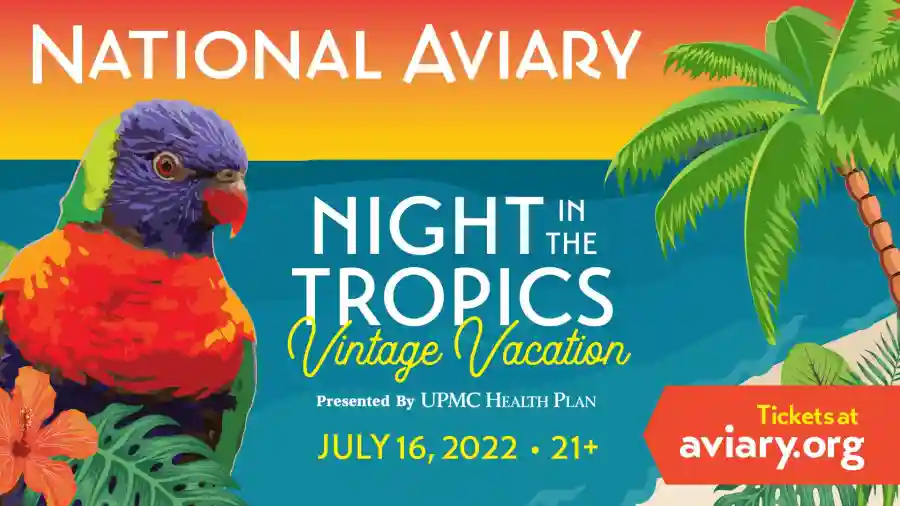 Night in the Tropics Online Auction