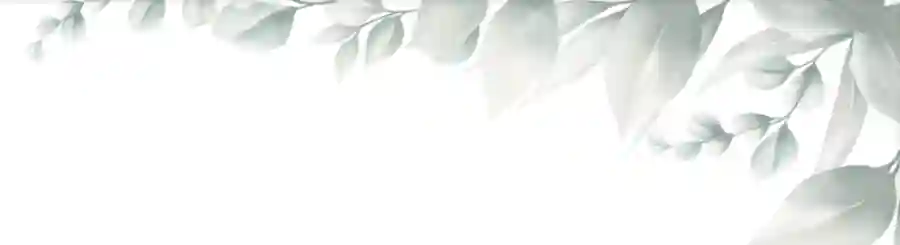 DSCA Fall Fête Gala & Auction