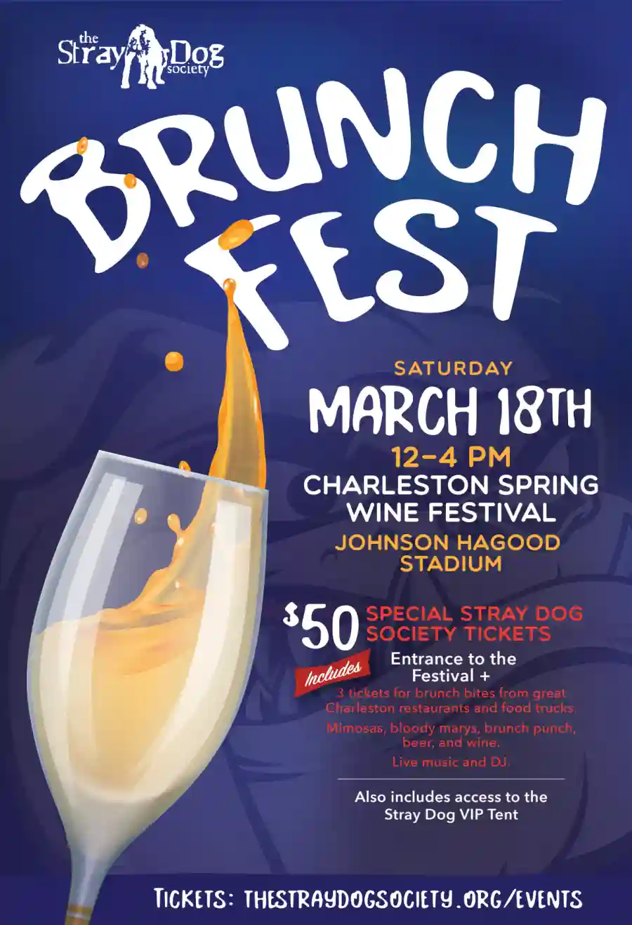 Stray Dogs Brunch Fest