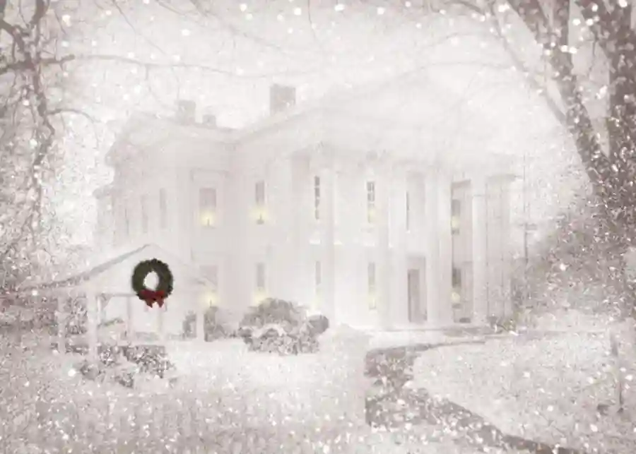 Whaling Museum 2025 Holiday Party