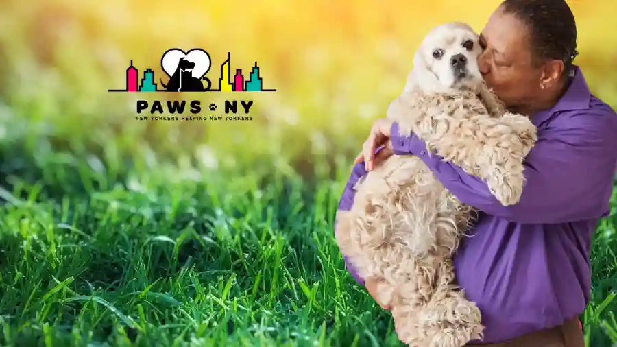 PAWS NY 2021 Virtual Spring Benefit