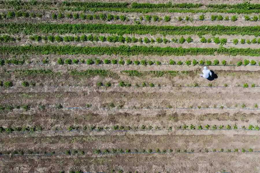 Green Feast Auction, A benefit for The Ecology Center