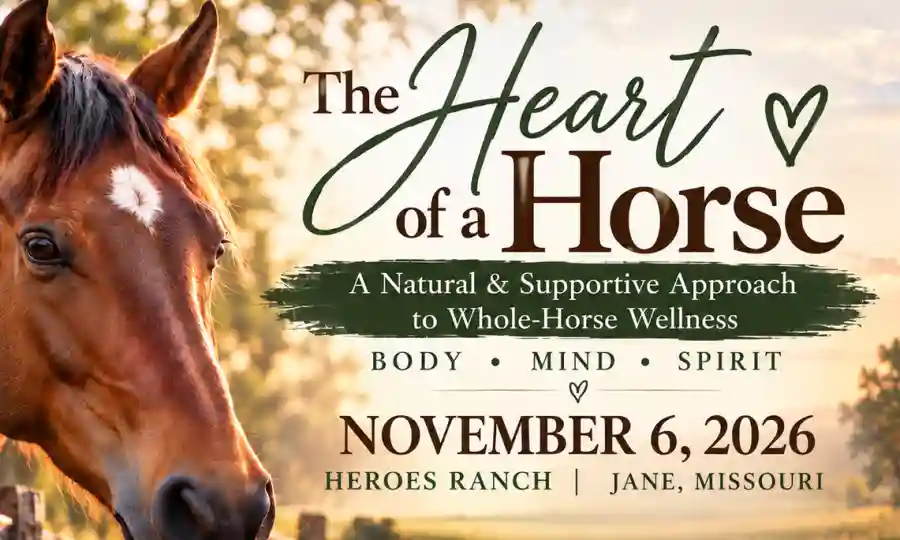 The Heart of a Horse