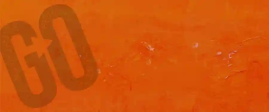 GO Foundation -                Big Catch Up