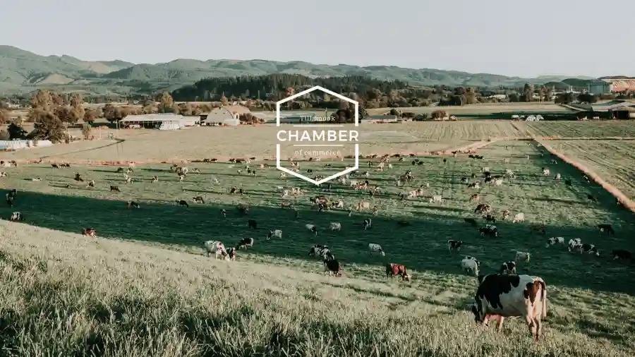 2024 Tillamook Chamber Virtual Auction