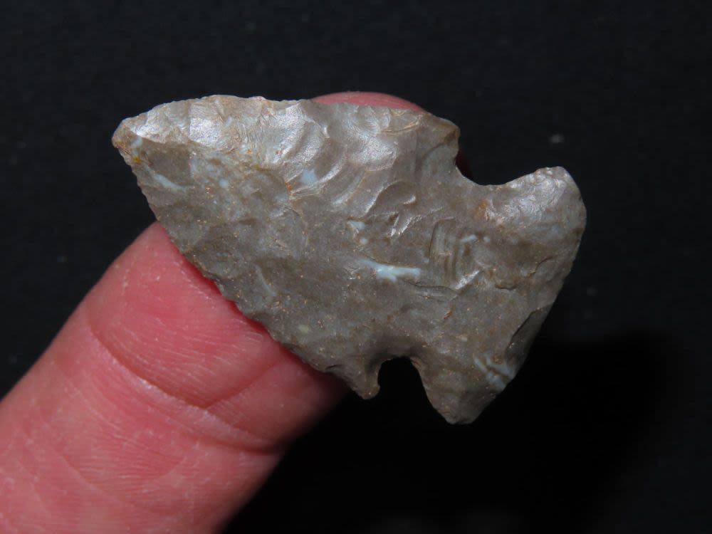 Barron County Kentucky, EX. Rocky Hall Heartland Artifact Auctions