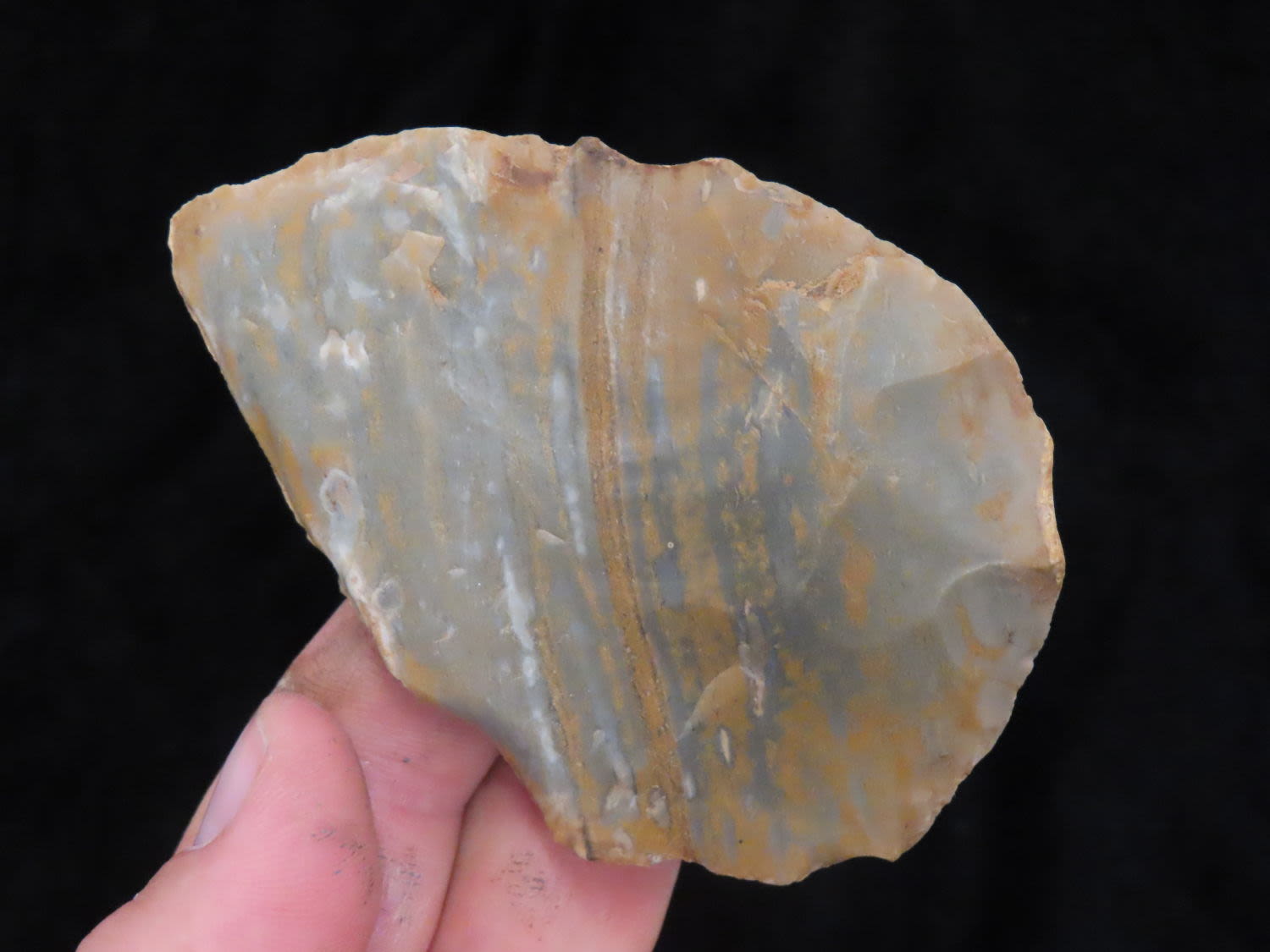 Free Shipping Thursday Night Auction Heartland Artifact Auctions