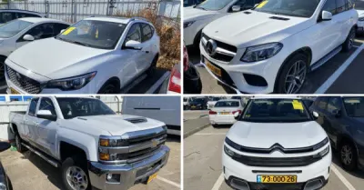 חן, פישר, גבאי, משרד עורכי דין | 64 רכבים מכונס נכסים