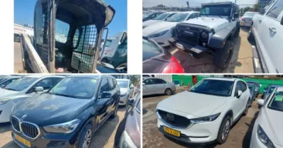 פלס, גרוהר, רגב כונס נכסים | 33 רכבים מכונס נכסים