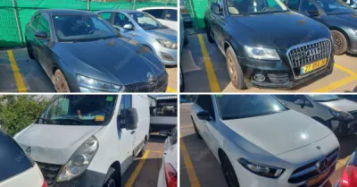 פלס, גרוהר, רגב כונס נכסים | 35 רכבים מכונס נכסים