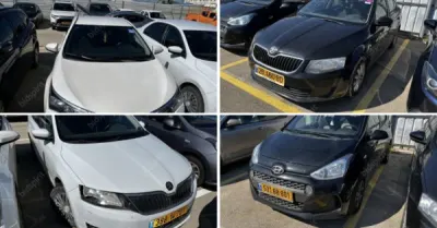 רינה חלבי - סאבק משרד עו״ד | 11 רכבים מכונסת נכסים