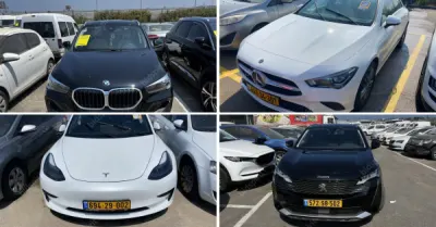 חן, פישר, גבאי, משרד עורכי דין | 42 רכבים מכונס נכסים