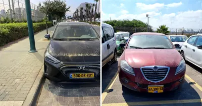 הרשקוביץ - אוכמן - בנסמן ושות' | משרד עורכי דין ונוטריון | 2 רכבים מכונס נכסים