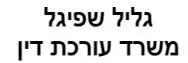 גליל שפיגל | משרד עורכת דין