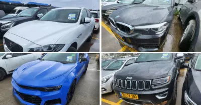 פלס, גרוהר, רגב כונס נכסים | 62 רכבים מכונס נכסים