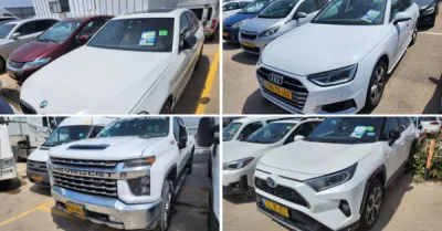 פלס, גרוהר, רגב כונס נכסים | 49 רכבים מכונס נכסים