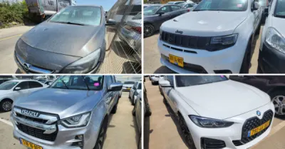 פלס, גרוהר, רגב כונס נכסים | 80 רכבים מכונס נכסים