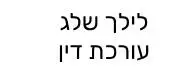 לילך שלג מוסקוביץ עורכת דין