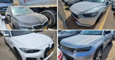 פלס, גרוהר, רגב כונס נכסים | 92 רכבים מכונס נכסים